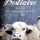 photo du film Bestiaire