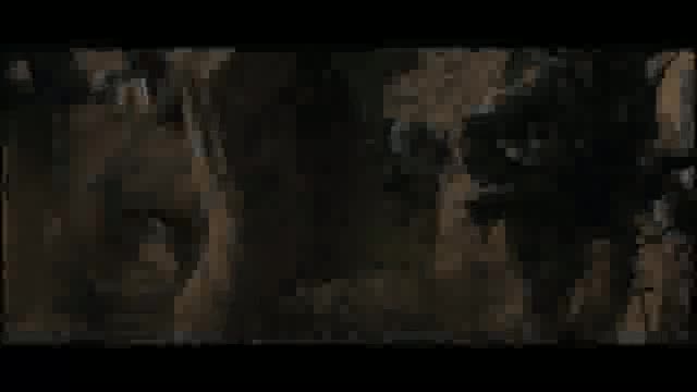 Un extrait du film  Canakkale Yolun Sonu