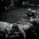 photo du film The Human Centipede II (Full Sequence)