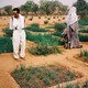 photo du film Pierre Rabhi, au nom de la terre