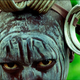photo du film Samsara