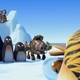 photo du film Les As de la jungle