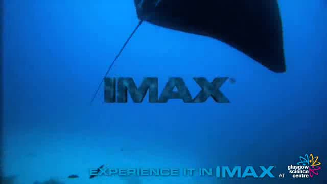 Extrait vidéo du film  Under the Sea