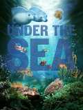 voir la fiche complète du film : Under the Sea