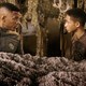 photo du film After Earth