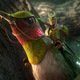 photo du film Epic : La bataille du royaume secret
