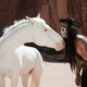 photo du film Lone Ranger