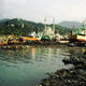 photo du film Polluting paradise