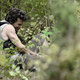 photo du film Vertige
