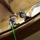 photo du film Les Schtroumpfs 2