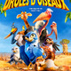 photo du film Drôles d'oiseaux