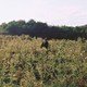photo du film Histoire de ma mort