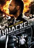 voir la fiche complète du film : Hijacked