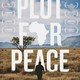 photo du film Plot for Peace