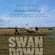 photo du film Swandown