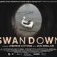 photo du film Swandown