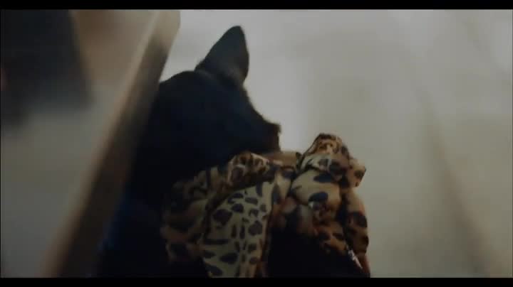 Extrait vidéo du film  Le Cours étrange des choses
