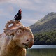 photo du film Sur la terre des dinosaures 3D