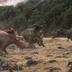 photo du film Sur la terre des dinosaures 3D