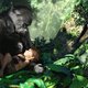 photo du film Tarzan