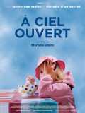 voir la fiche complète du film : À ciel ouvert