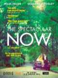 voir la fiche complète du film : The Spectacular Now