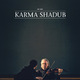 photo du film Karma Shadub