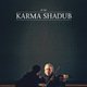 photo du film Karma Shadub