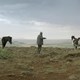 photo du film Des chevaux et des hommes