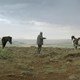 photo du film Des chevaux et des hommes