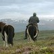 photo du film Des chevaux et des hommes