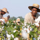 photo du film 12 Years a Slave