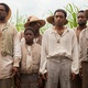 photo du film 12 Years a Slave