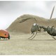 photo du film Minuscule - La Vallée des fourmis perdues