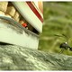 photo du film Minuscule - La Vallée des fourmis perdues