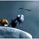 photo du film Minuscule - La Vallée des fourmis perdues