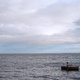 photo du film For those in Peril