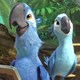 photo du film Rio 2