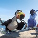 photo du film Rio 2