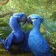 photo du film Rio 2