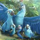 photo du film Rio 2