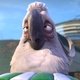 photo du film Rio 2