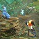 photo du film Rio 2