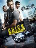 voir la fiche complète du film : Brick Mansions