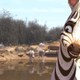 photo du film Khumba