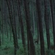 photo du film L'intruse