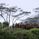 photo du film Le Sel de la terre