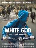 voir la fiche complète du film : White God