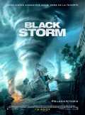 voir la fiche complète du film : Black Storm