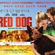photo du film Red dog